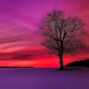 کاربر ویوآی