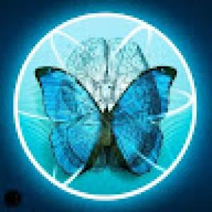 کاربر ویوآی