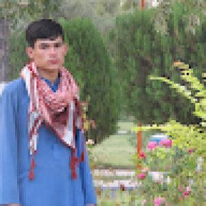 کاربر ویوآی