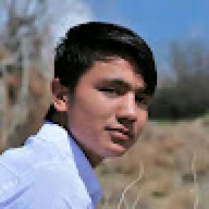 کاربر ویوآی