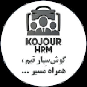 کاربر ویوآی