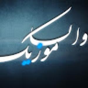 کاربر ویوآی